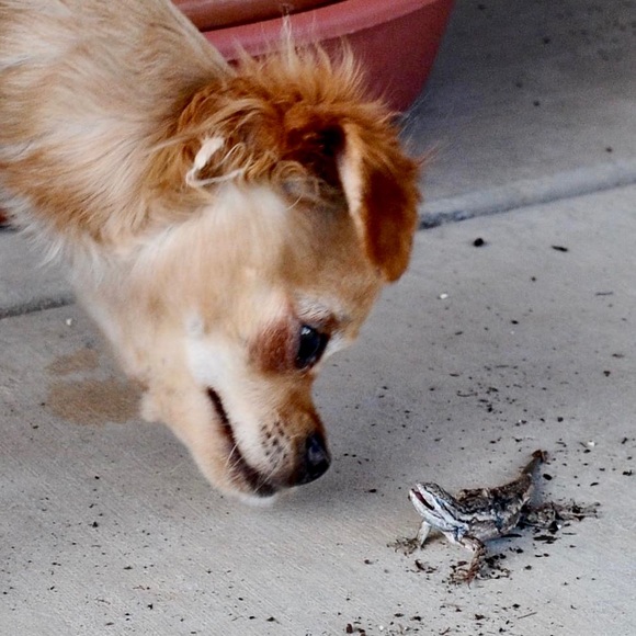 Meet your Posher, Jessica - Picture 8 of 8